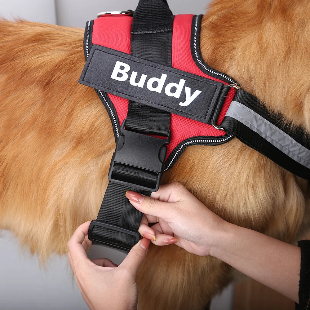 Personalised No Pull Dog Harness