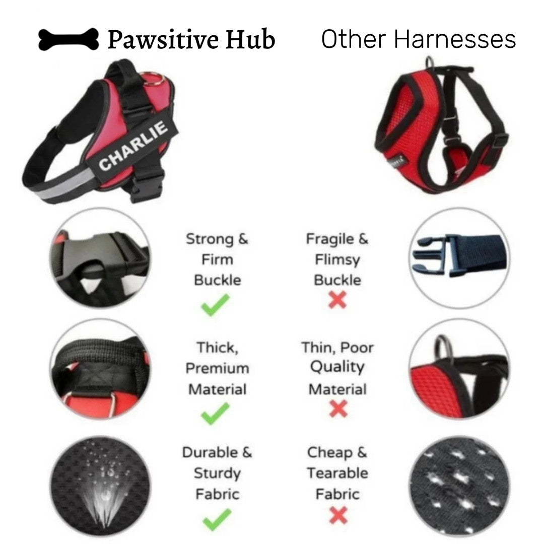 Personalised No Pull Dog Harness