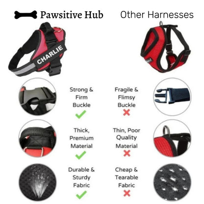 Personalised No Pull Dog Harness