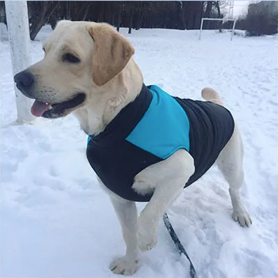 AquaShield Canine Coat