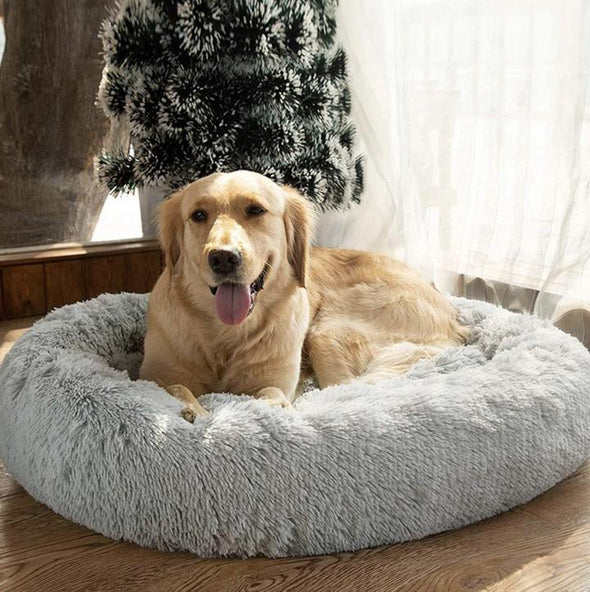 CozyCush Dog Bed