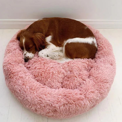 CozyCush Dog Bed