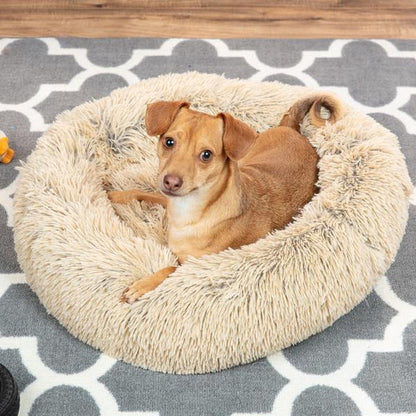 CozyCush Dog Bed