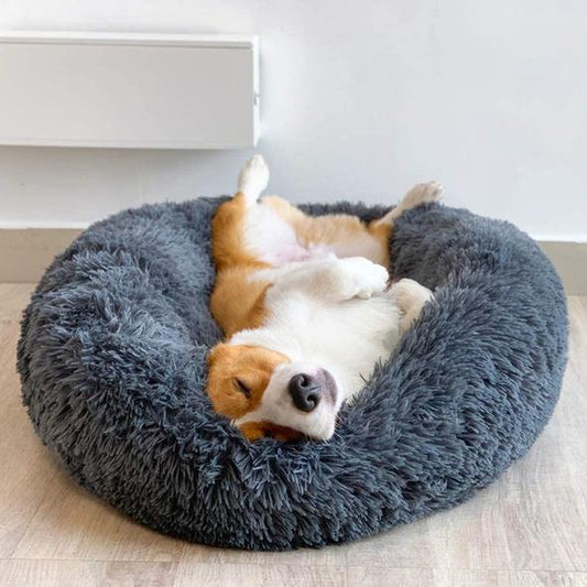 CozyCush Dog Bed