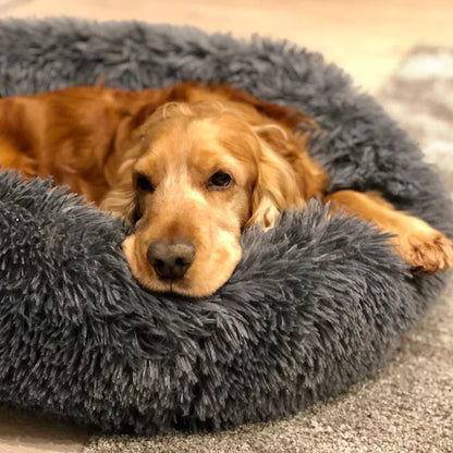 CozyCush Dog Bed