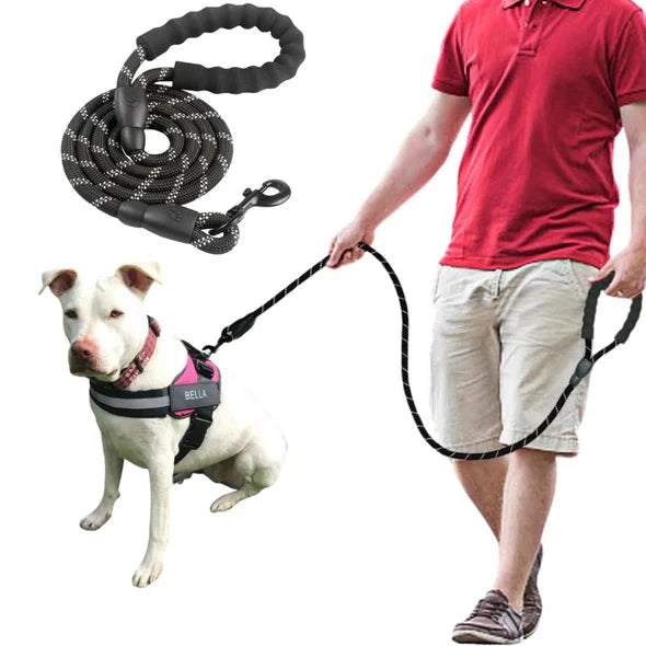 Strong Reflective Dog Leash